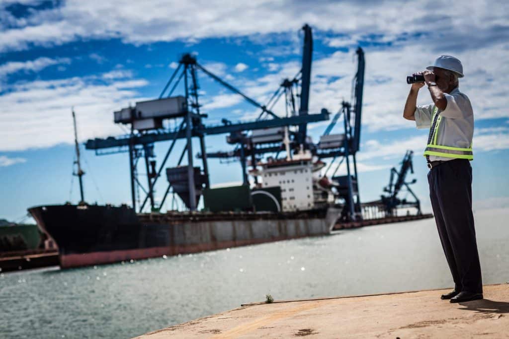 [INFOGRAPHIC] Certificate of Free Pratique in Brazilian ports: understand more about the subject