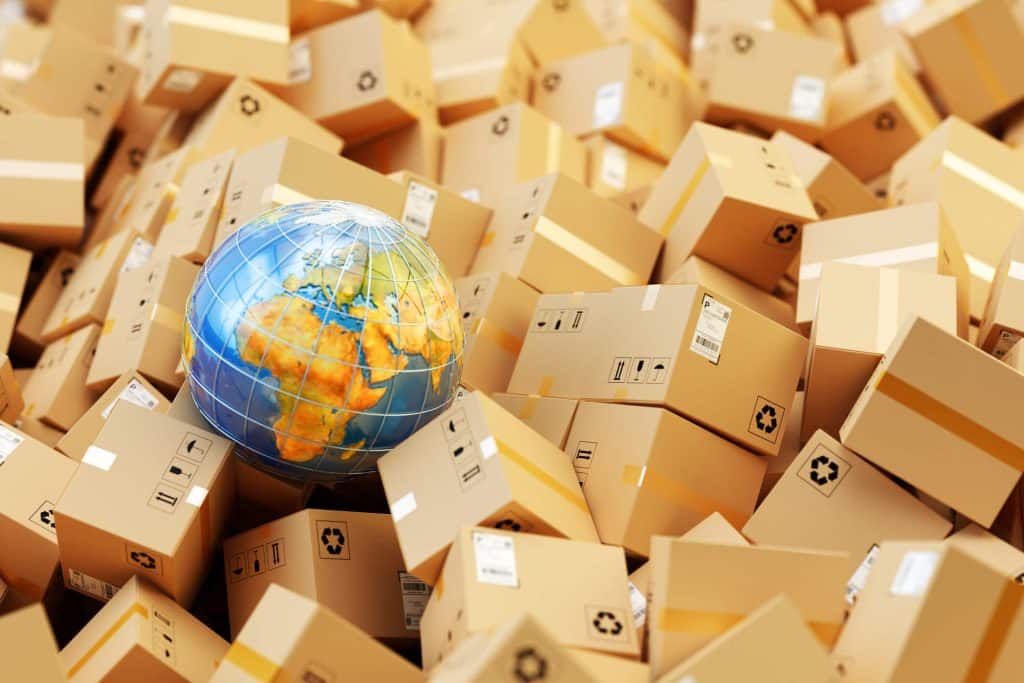 What is the Single Foreign Trade Portal and what is its importance?