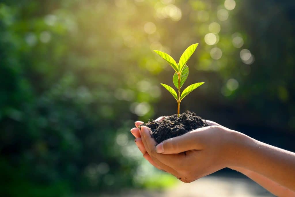 Os impactos da logística verde para o setor marítimo e portuário!