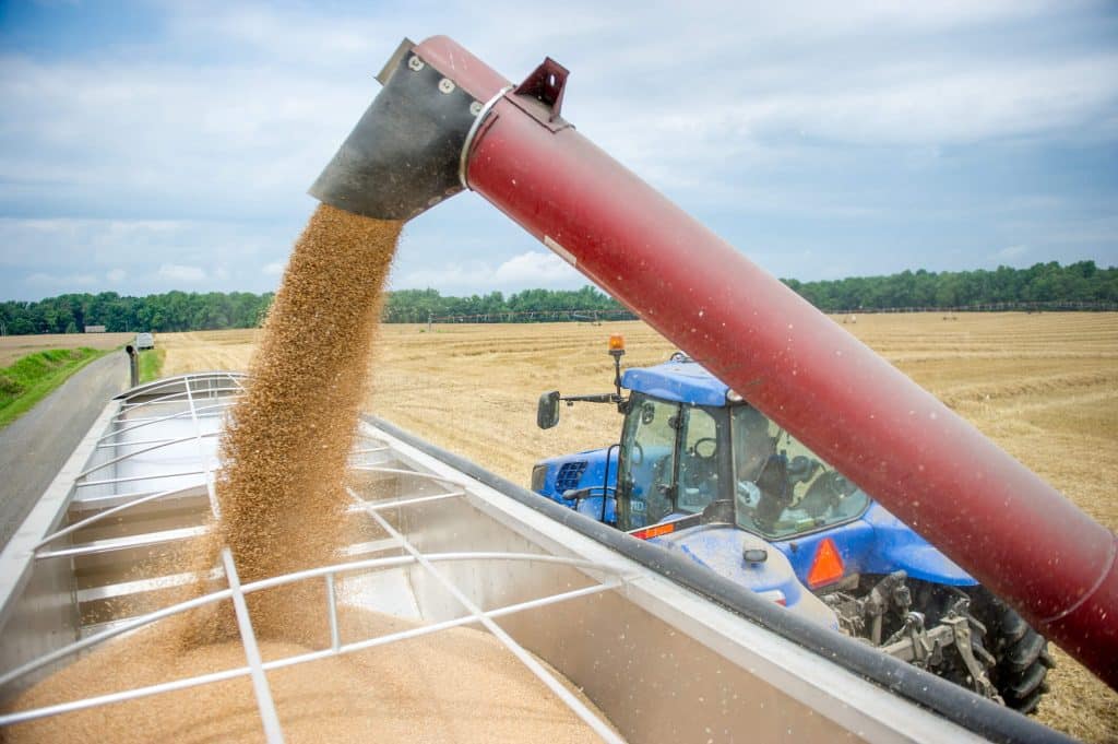 Safras recordes de grãos: será que o Brasil conseguirá manter esse nível para os próximos anos?