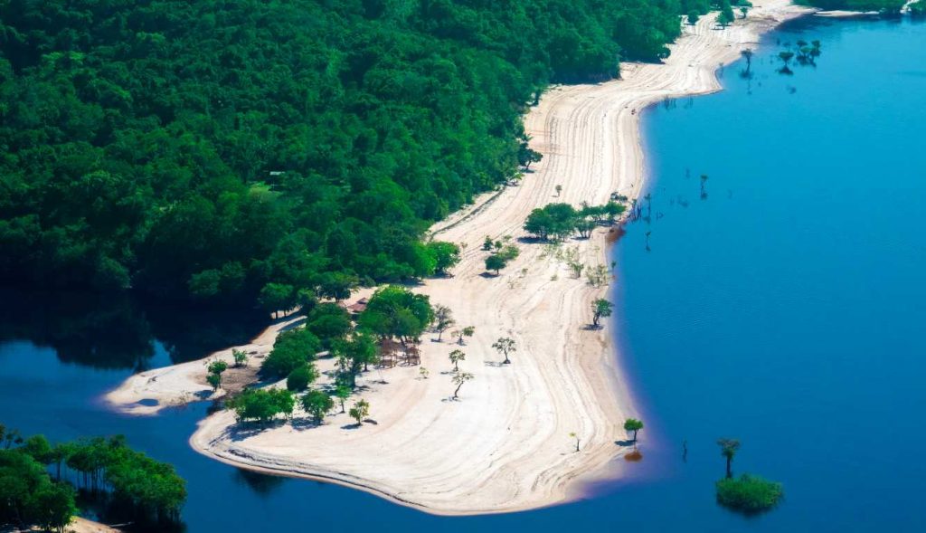 What is the Blue Amazon: you should know about this Brazilian treasure!