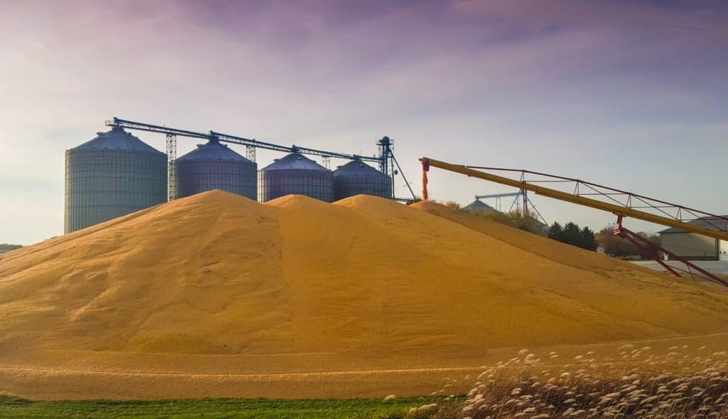 The why, what and how of Fumigation in grain operations