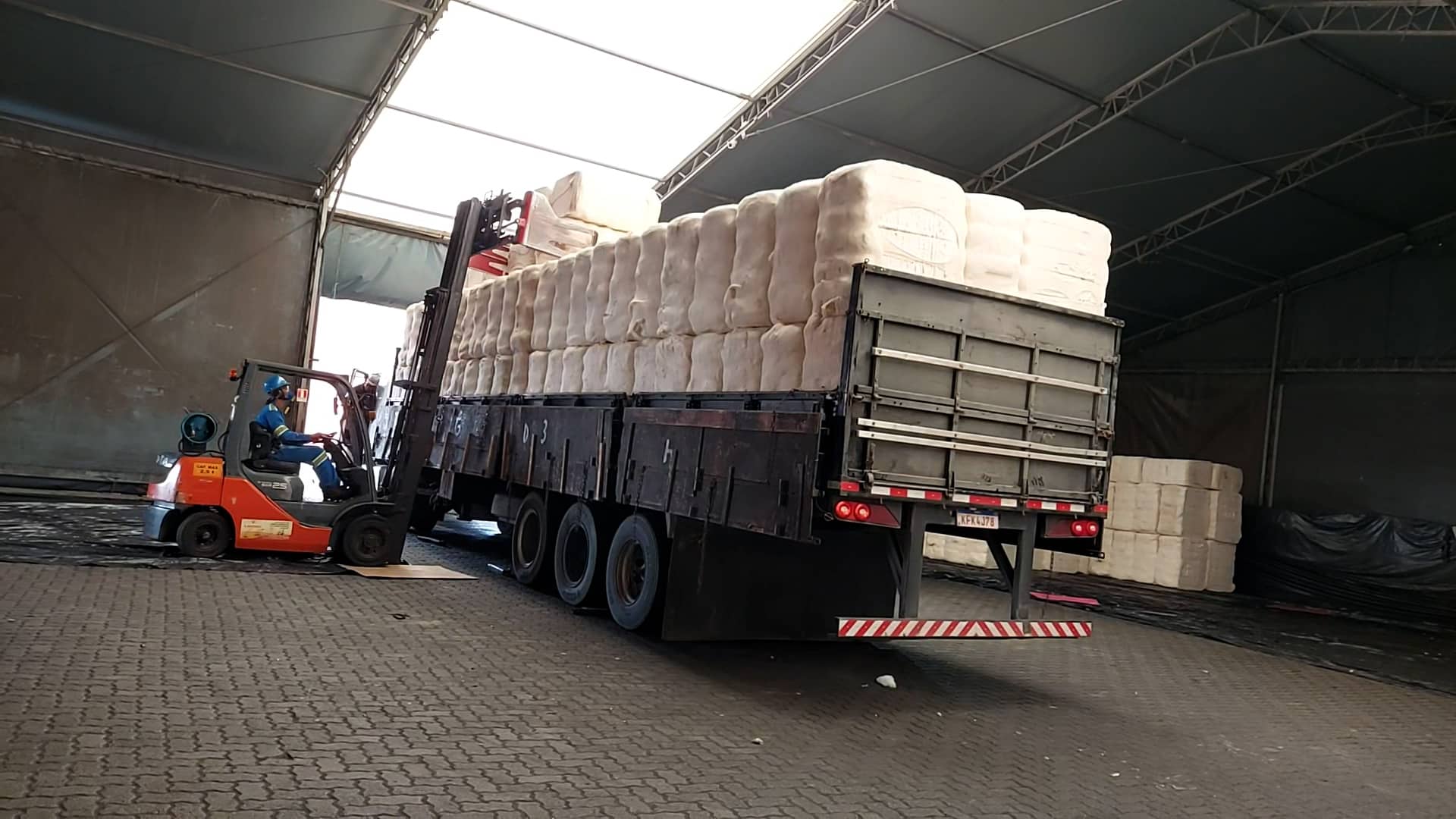 Cotton exports through Wilson Sons’ Salvador Container Terminal soar 156% this year