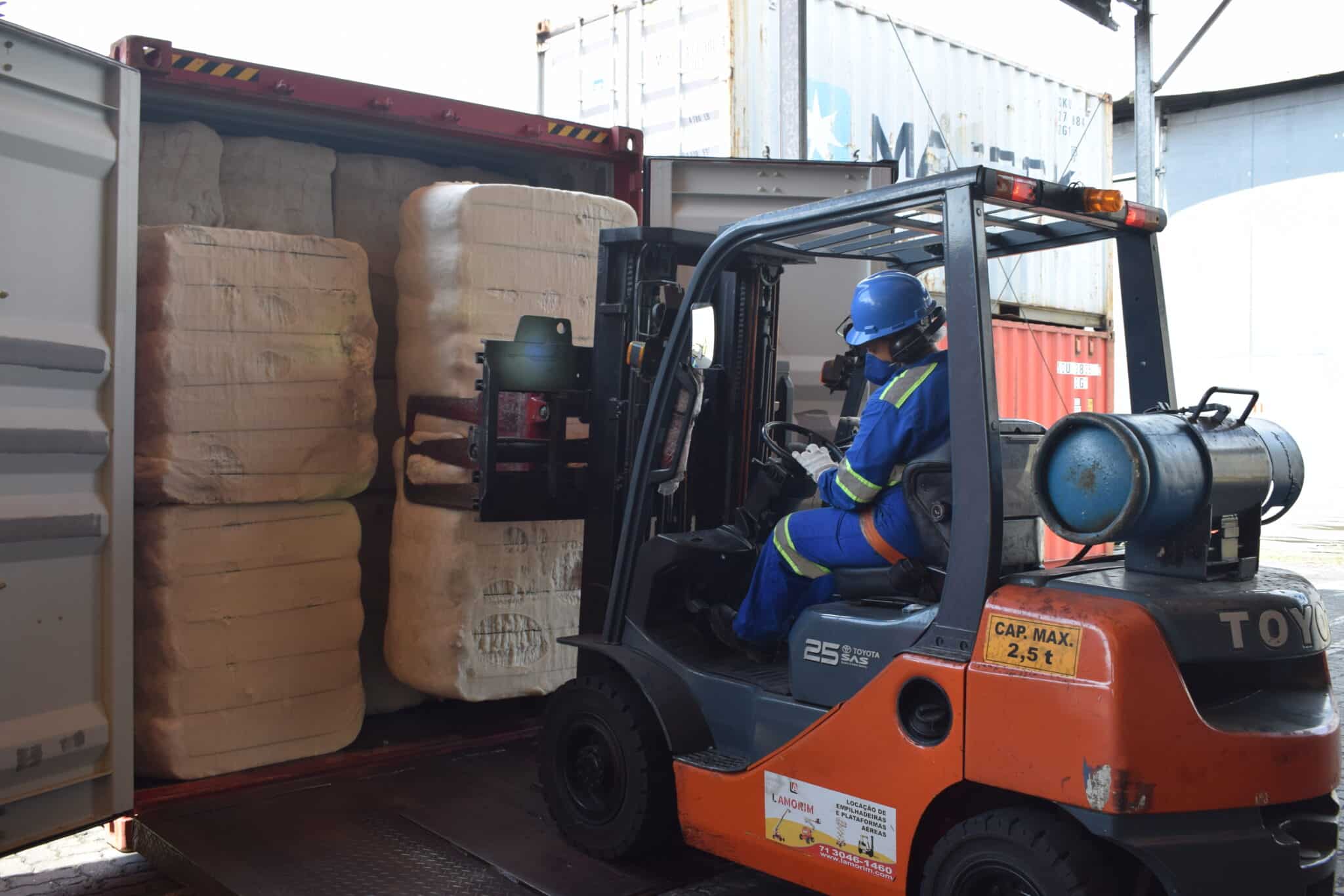 Como o algodão brasileiro chega ao Egito: um guia de exportação